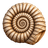 Hub22