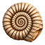 Hub22